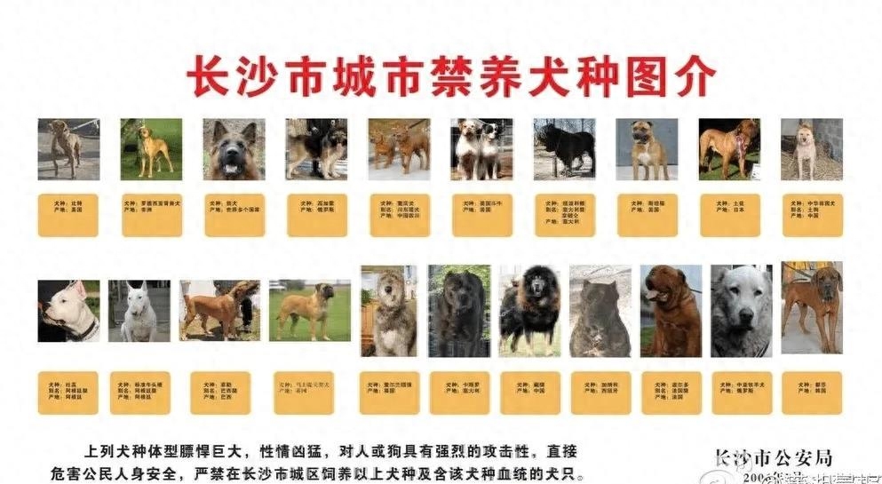 全国各大城市禁养犬种名单（各地城市禁养犬名单全曝光）